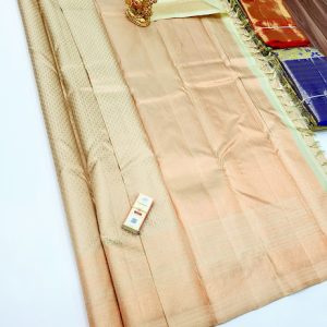 Trendy Kanjivaram Pure Wedding Silk Saree Light Pista Green Color w/ Blouse