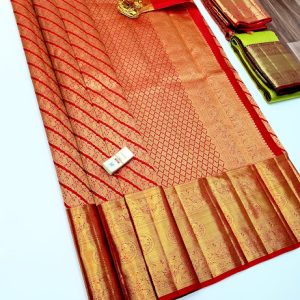 Different Design Kanjivaram Pure Wedding Silk Saree Apple Red Color w/ Blouse