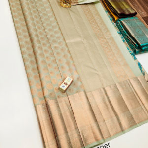 Kanjivaram Pure Wedding Silk Saree Light Pista Green Color w/ Blouse