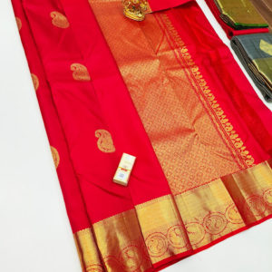 Different Pure Kanjivaram Fancy Silk Saree Red w/ Blouse