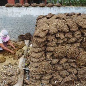 Organic Indian Cow Dung Cakes  – 5 / 10 / 25 Pcs
