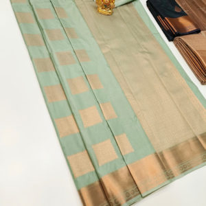 High Fancy Kanjivaram Silk Saree Mix Light Pista Color w/ Blouse