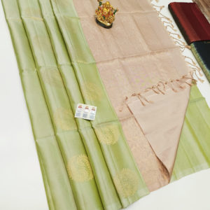 Unique Design Pure Soft Silks Saree Light Pista Color w/ Blouse