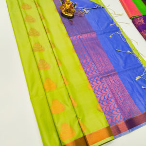 Butta Mphoss Saree Light Green Color w/ Blouse