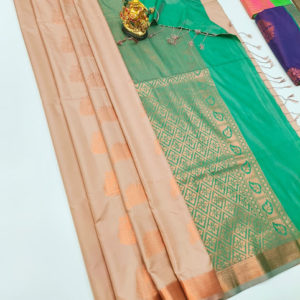 Butta Mphoss Saree Light Peach Color w/ Blouse