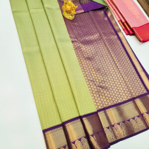 Unique Design Kanchi Semi Silk Saree Pista Green Color w/ Blouse