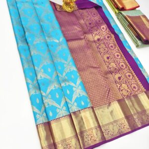 Pure Kanjivaram Silk Saree Sky Blue Color w/ Blouse