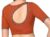 Simple Embroidered Blouse Back Neck Design Orange Color
